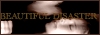 Beautiful Disaster