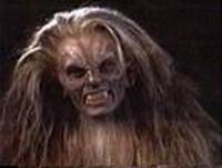 veruca