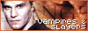 Vamps and Slayers