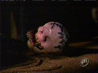 Well, now that I got my new ball, let's go bowling!