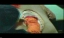 PDVD_342.jpg