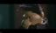 PDVD_371.jpg