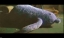 PDVD_693.jpg