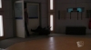 PDVD_102.jpg