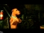 PDVD_377.jpg