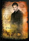 angel13.jpg (44562 byte)