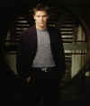 angel20.jpg (22643 byte)