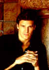 angel37.jpg (50465 byte)