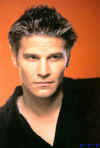 david-s1-002.jpg (54903 byte)