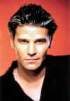 david-s1-003.jpg (158743 byte)