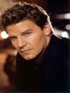 david-s2-010.jpg (64606 byte)