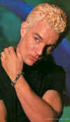 jm_6_promo11.jpg (58216 byte)