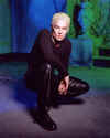 jm_6_promo12.jpg (119454 byte)