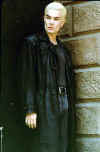 jm_spike410.jpg (35795 byte)