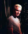 jm_spike44.jpg (50617 byte)