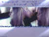 sfondi74.jpg (32134 byte)