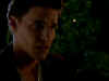 PDVD_070.jpg (20525 byte)
