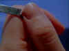 PDVD_096.jpg (20976 byte)