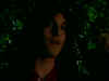 PDVD_128.jpg (18578 byte)