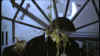 screens_s4_ep10_477.jpg (60391 byte)