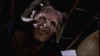 screens_s4_ep12_285.jpg (45932 byte)
