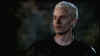 screens_s4_ep12_312.jpg (45822 byte)