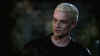 screens_s4_ep12_316.jpg (45471 byte)