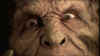 screens_s4_ep12_446.jpg (65264 byte)