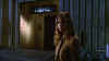 screens_s5_ep07_340.jpg (35964 byte)