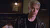 screens_s5_ep17_248.jpg (43266 byte)