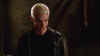screens_s5_ep17_334.jpg (42298 byte)