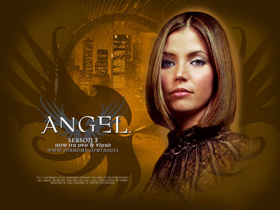 Clicca per immagine full size