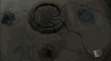 shells0224
