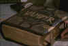 vampyrbook101.jpg (37449 bytes)