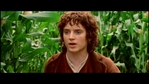 LotR_FotR0818.jpg