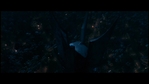LotR_FotR1217.jpg