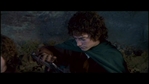 LotR_FotR1228.jpg