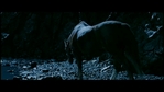 LotR_FotR2378.jpg