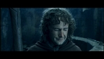 LotR_FotR2657.jpg