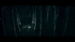 LotR_FotR2828.jpg