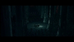LotR_FotR2834.jpg