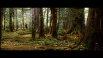LotR_FotR3068.jpg