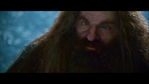 LotR_FotR3490.jpg