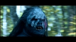 LotR_FotR3544.jpg