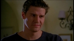Angel201_560.jpg