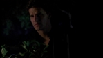 Angel205_414.jpg