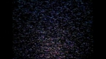 Angel212_496.jpg