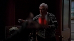 Angel307_183.jpg