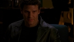 Angel309_502.jpg