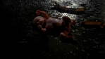 Angel309_663.jpg